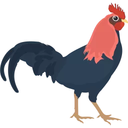 sabung ayam